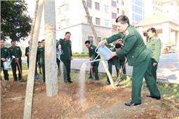 Phát động Tết trồng cây “Đời đời nhớ ơn Bác Hồ” năm 2020